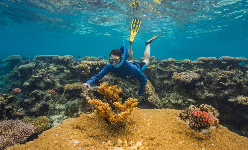 As Global Warming Threatens Corals Worldwide, Woods Hole Scientists Search for ‘Super Reefs’ That Can Take the Heat