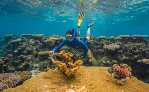 As Global Warming Threatens Corals Worldwide, Woods Hole Scientists Search for ‘Super Reefs’ That Can Take the Heat