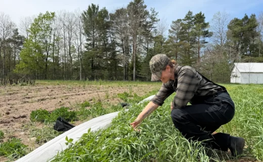 Becoming a farmer is hard. This Michigan program wants to help.