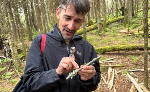 In the Smoky Mountains, a volunteer effort aims to document every species — before it’s too late