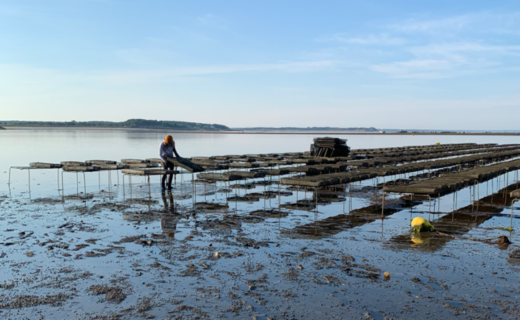 NOAA strengthens commitment to aquaculture through new cooperative institute