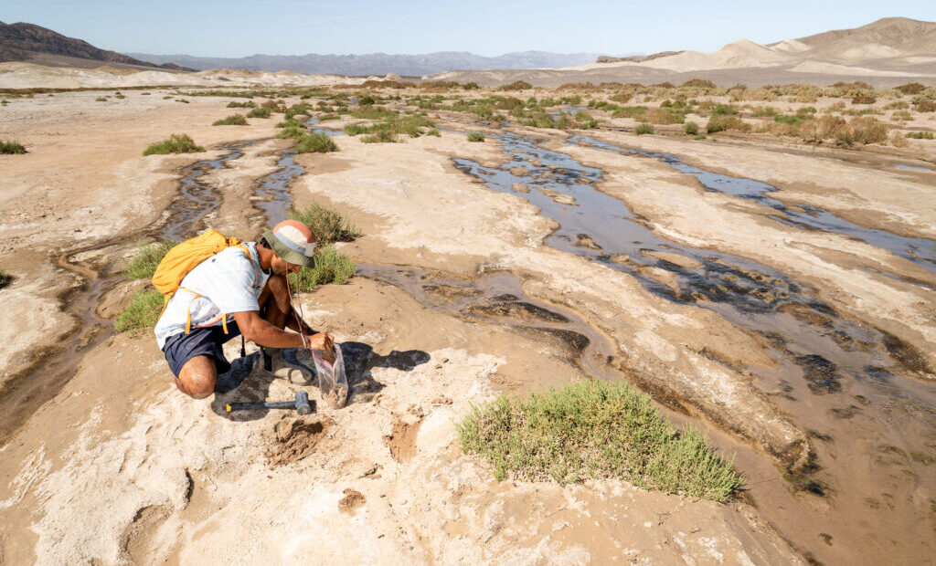 Threads of Earth’s Underground Fungal Networks Are Long Enough to Reach Beyond the Solar System
