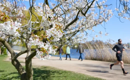 Your local park is bringing in the green (and by that, we mean money)