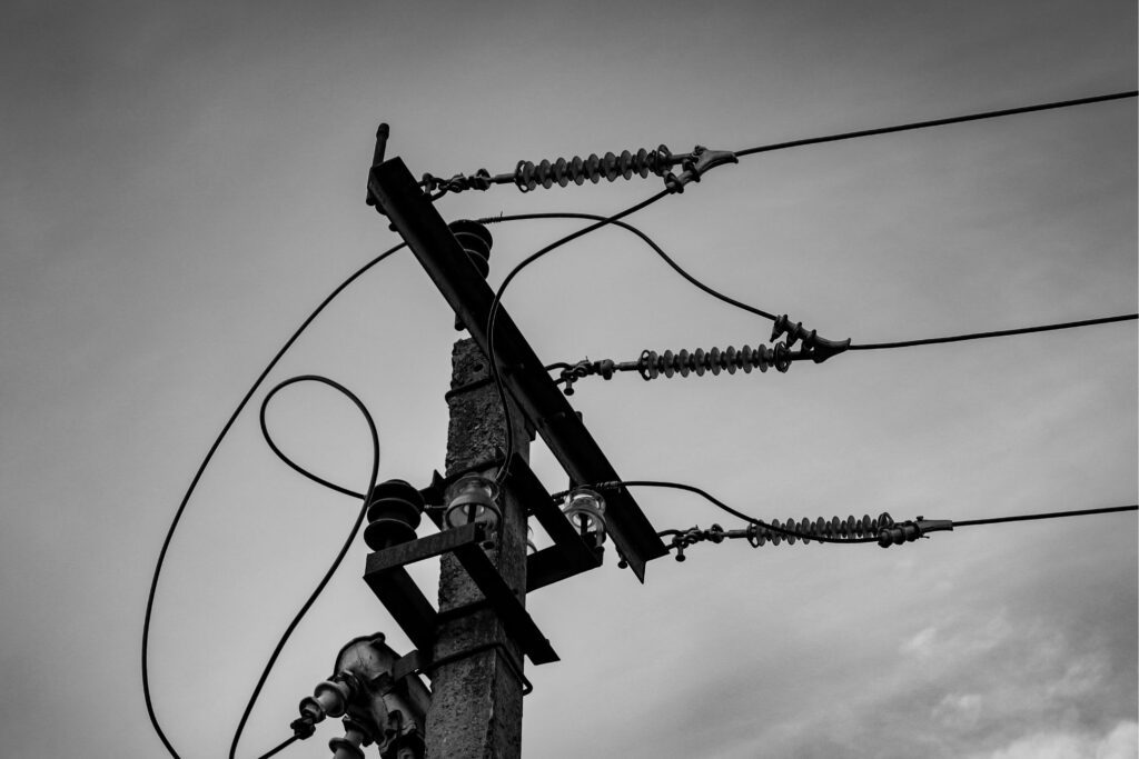 In Texas, solar and sheep go hand in hand – This Week in Cleantech
