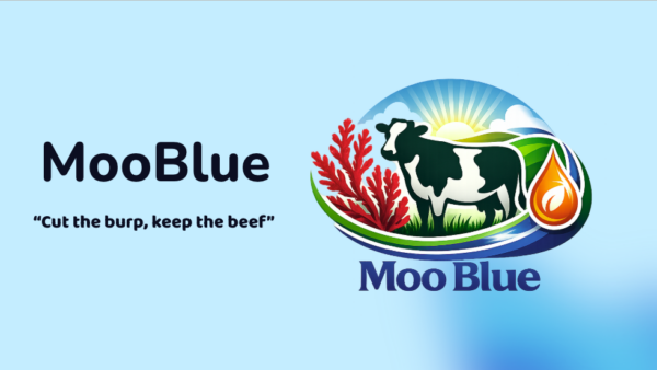 Best of Sustainability In Your Ear: The MooBlue Team Keeps The Beef, Without The Burp