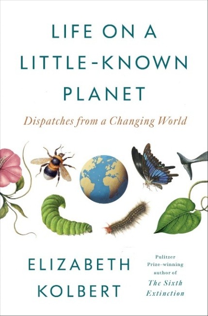 12 picks for your last book of the summer