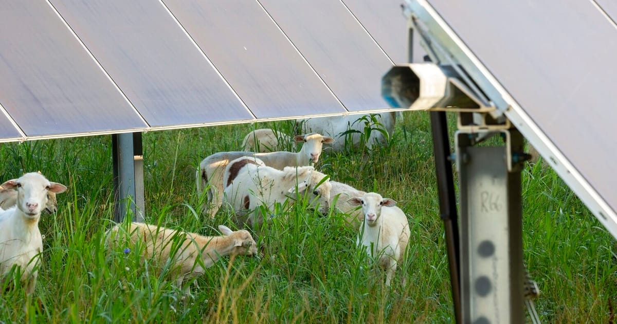 As Ohio grapples with fake comments on clean energy, some want crackdown