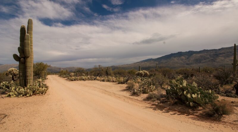 Thousands of Comments Shared with Governor Katie Hobbs Passionately Oppose Desert Southwest Gas Pipeline
