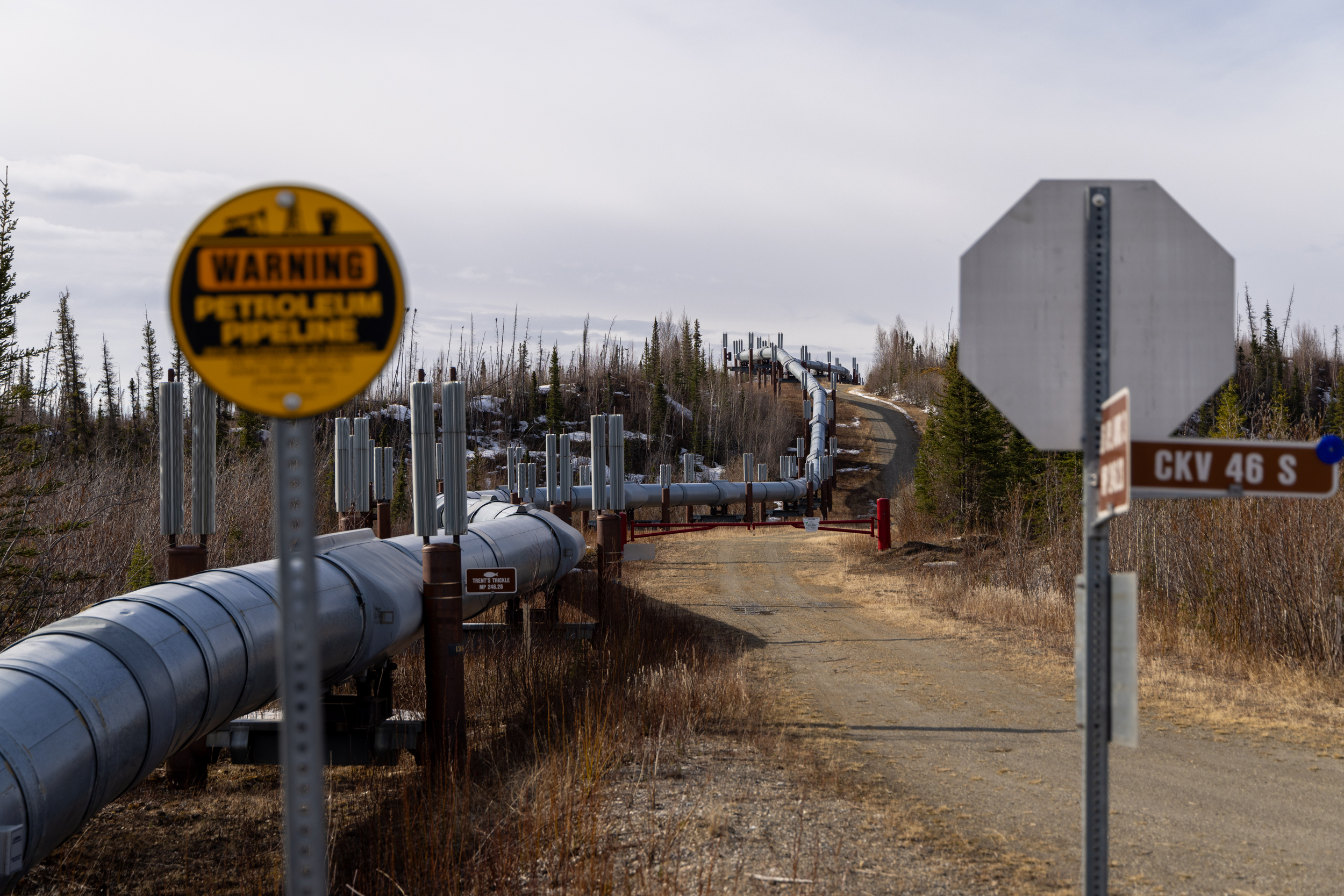 Trump Administration Speeds Up Environmental Review for 800-Mile Alaska Oil Pipeline
