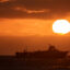 NOAA’s New Priorities Put Profits Ahead of Marine Protections