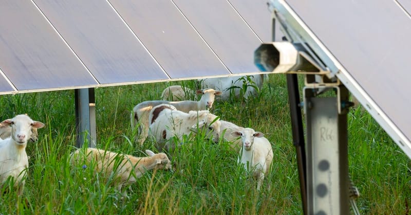 As Ohio grapples with fake comments on clean energy, some want crackdown