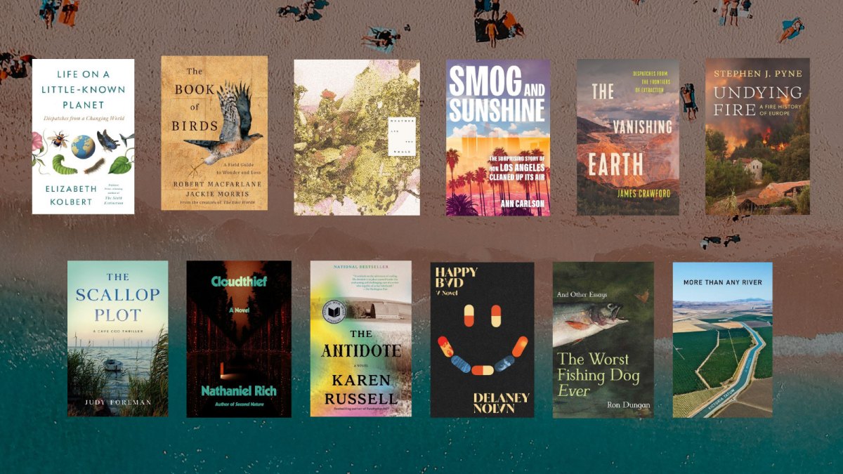 12 picks for your last book of the summer