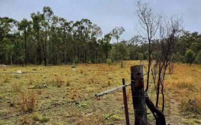 ‘You’re buying a liability’: panel warns developers on buying ageing battery storage assets in Australia