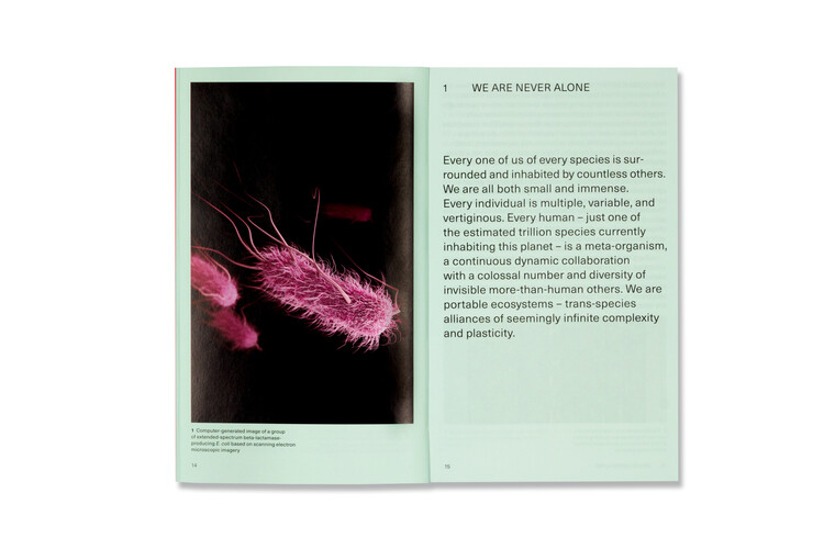 Has Architecture Ever Been Entirely Human? Beatriz Colomina and Mark Wigley on the Microbial Nature of Architecture