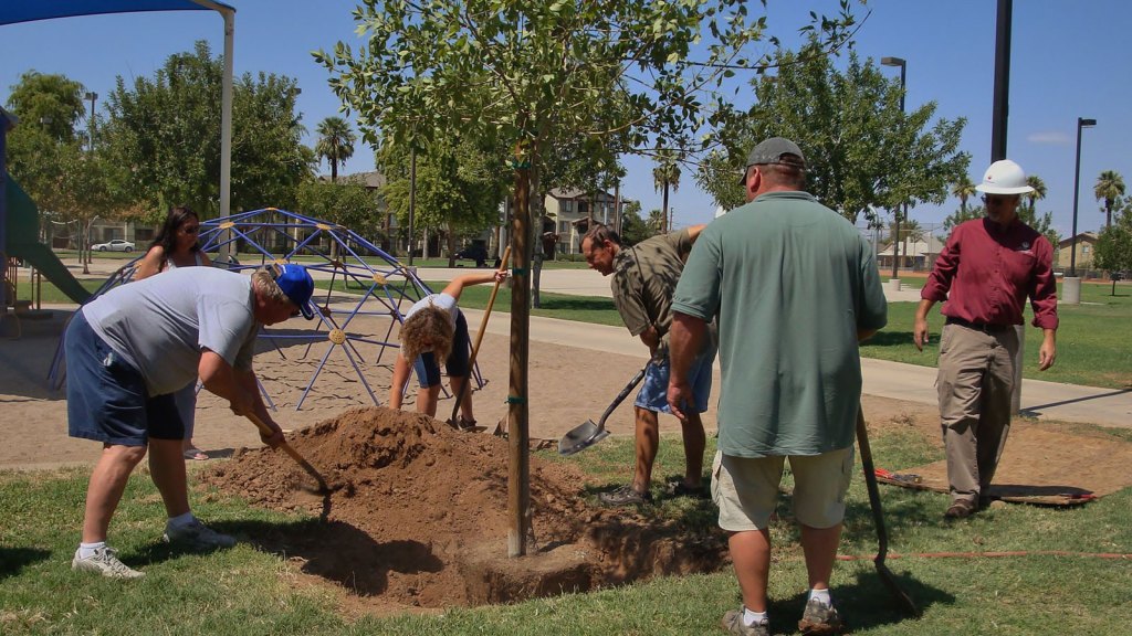 Phoenix tree planting program grows jobs