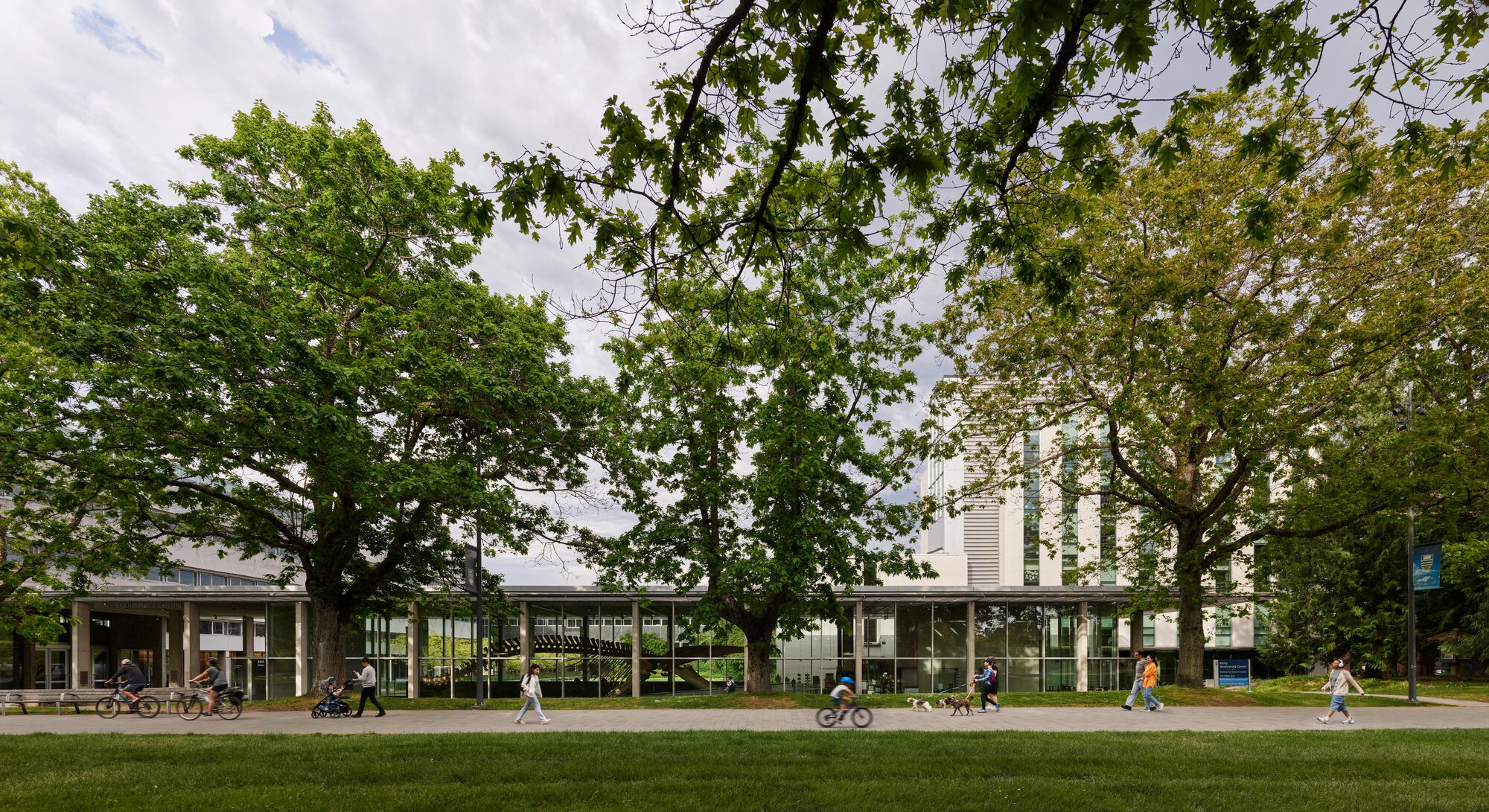 UBC Biodiversity Centre Addition / Public Architecture + Design