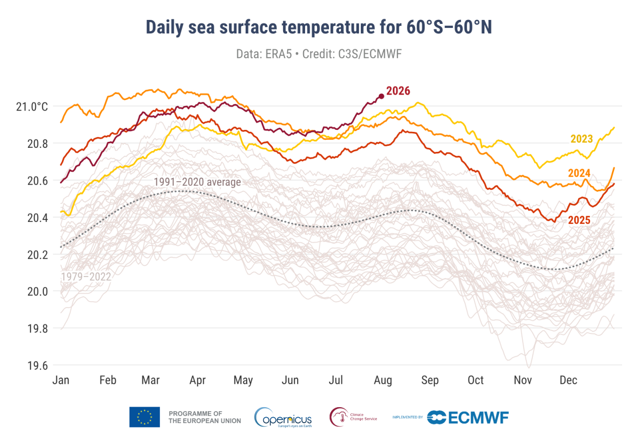 As marine heat breaks records, countries seek ocean roadmap at COP31