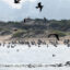 As Trump Expands Hunting and Fishing Access on Wildlife Refuges, What Will the Impact Be?