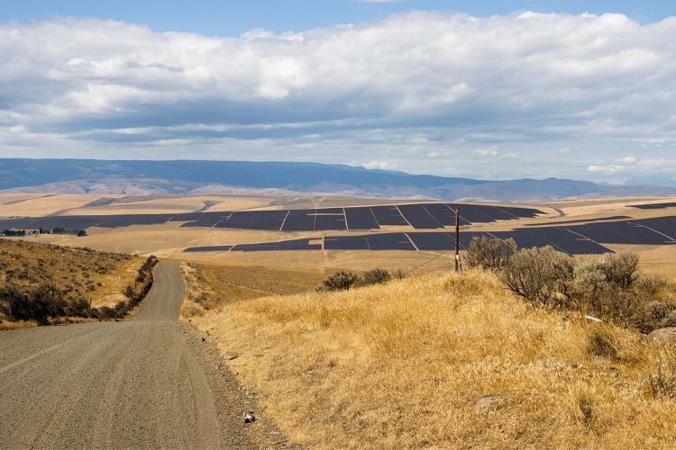 ‘One step forward, one step back’ – clean energy jobs growth stifled by canceled projects