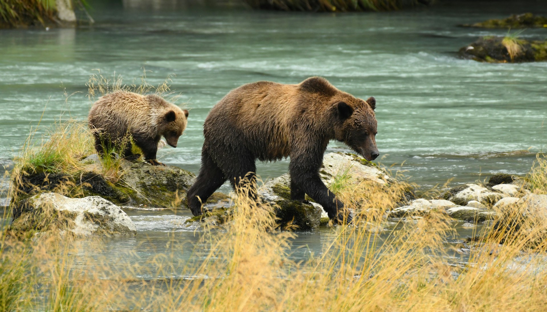 The Fight for Environmental and Climate Protections Continues