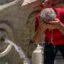 Maryland Breaks Heat-Related Death Record With Weeks of Summer to Go