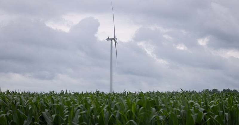 The Pentagon's wind farm blockade is over — for now