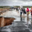 Flood-Ravaged Nepal on Alert as Scientists Warn of Additional Risk