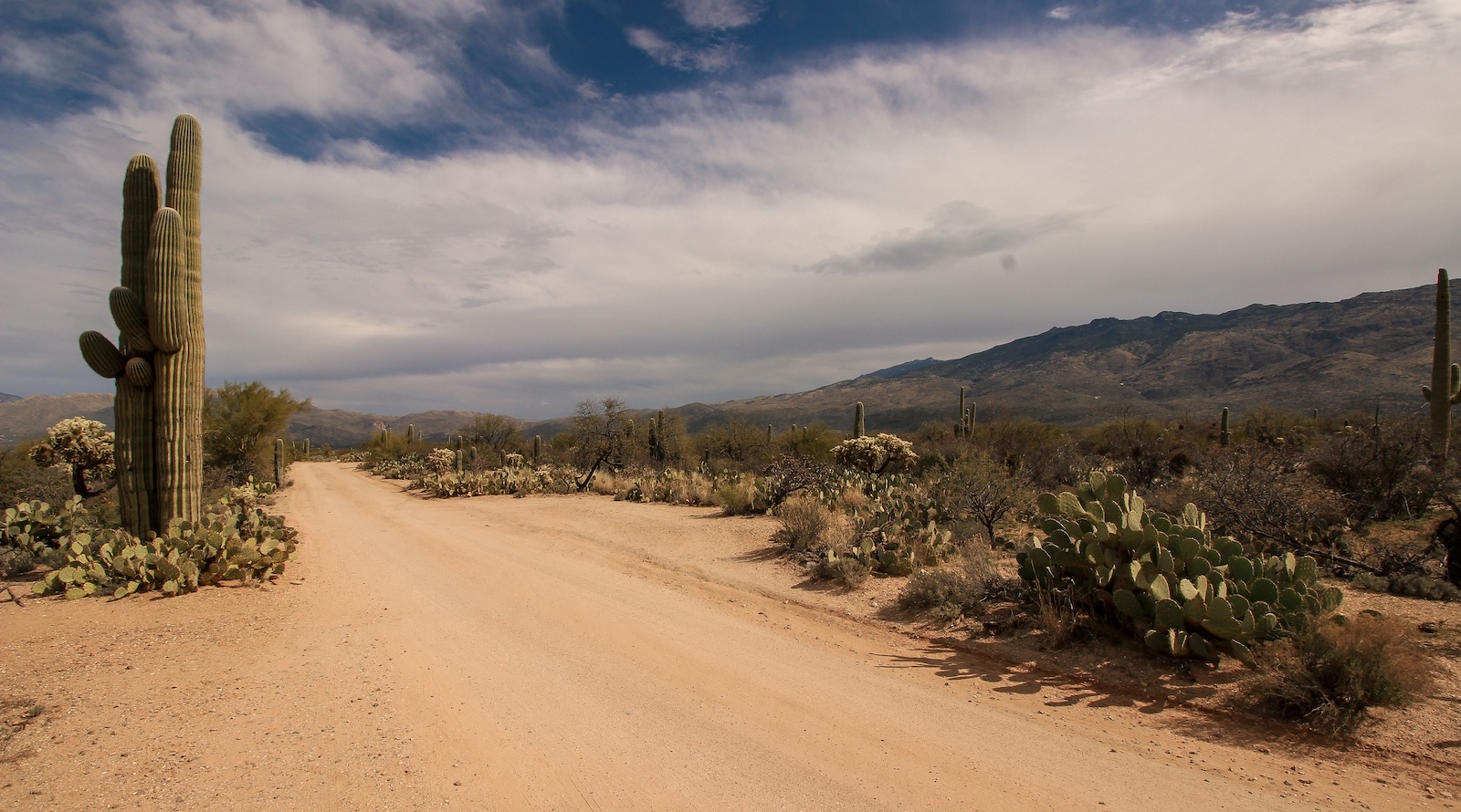 Thousands of Comments Shared with Governor Katie Hobbs Passionately Oppose Desert Southwest Gas Pipeline