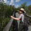 ‘Crown Jewel’ of Everglades Restoration Is Too Small, Report Says