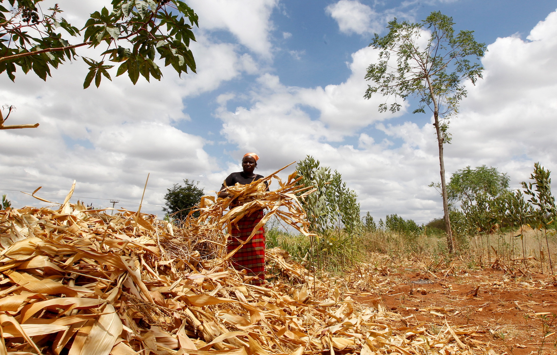 As El Niño intensifies, we should be investing more in the world’s farmers