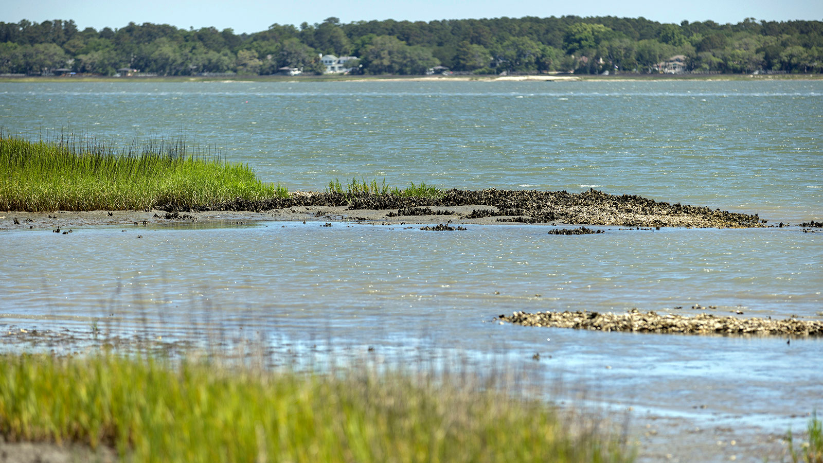 ‘Oyster castles’ to help keep a South Carolina community safe from erosion