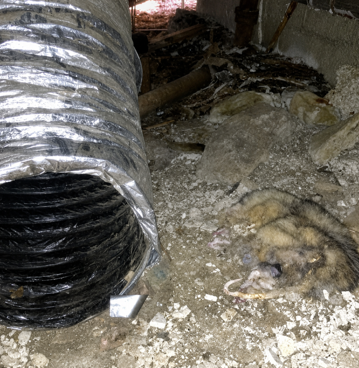 Bad Ducts = Bad Air