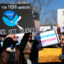 Why Germany Is Building an Ark for U.S. Climate Data