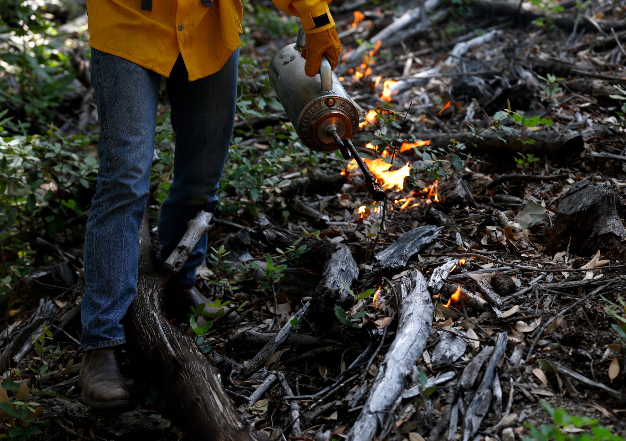 America is losing its war against wildfire