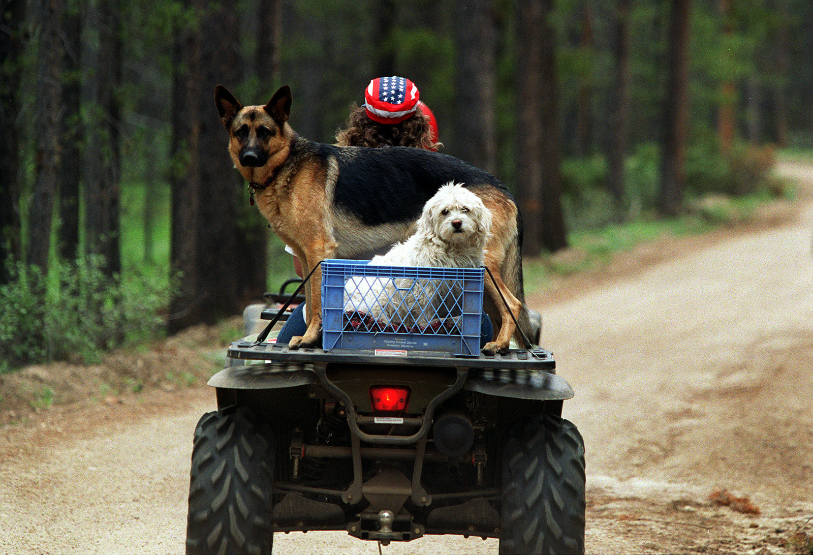 Trump wants to open nearly all national forest trails to dirt bikes and ATVs