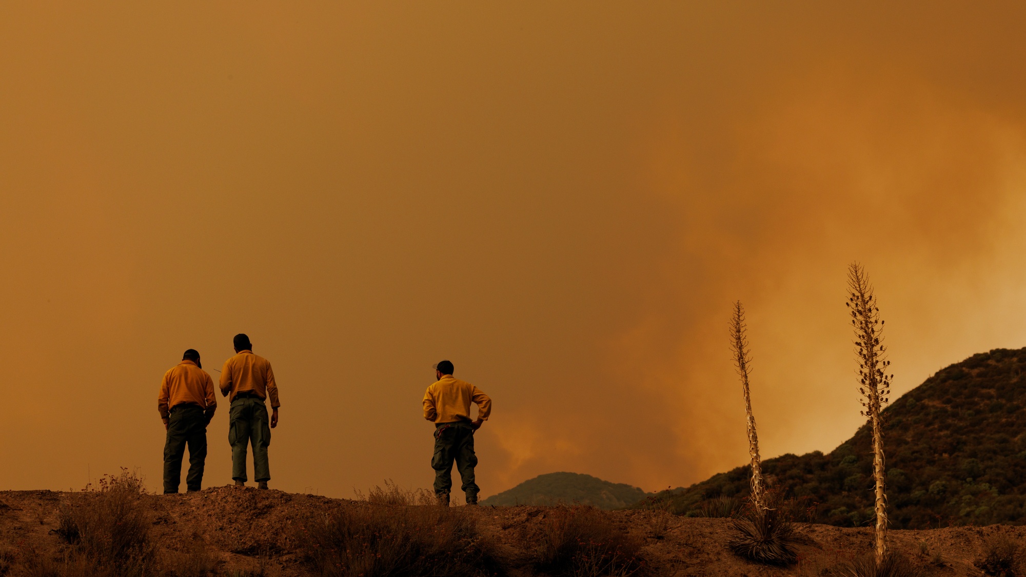 America is losing its war against wildfire