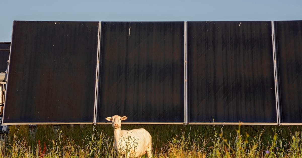 Ohio’s biggest solar project finally gets permit after long legal limbo