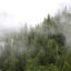 Elevated Levels of Lead Surround Local Oregon Airports 