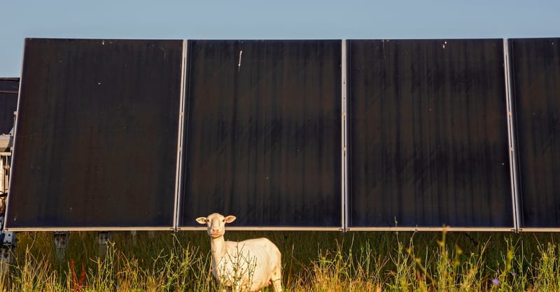 Ohio’s biggest solar project finally gets permit after long legal limbo
