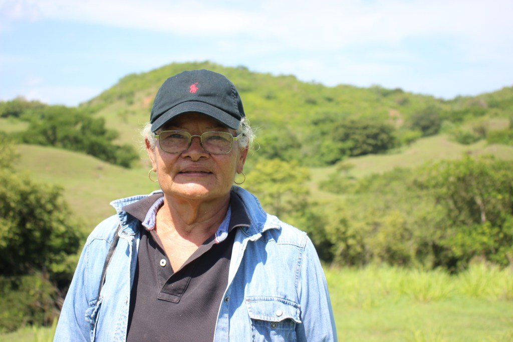 As El Niño fuels drought in Panama, trees help ranchers maintain their water supply