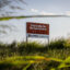 Texas Continued Permitting Data Centers After Abbott’s Pause, Report Finds