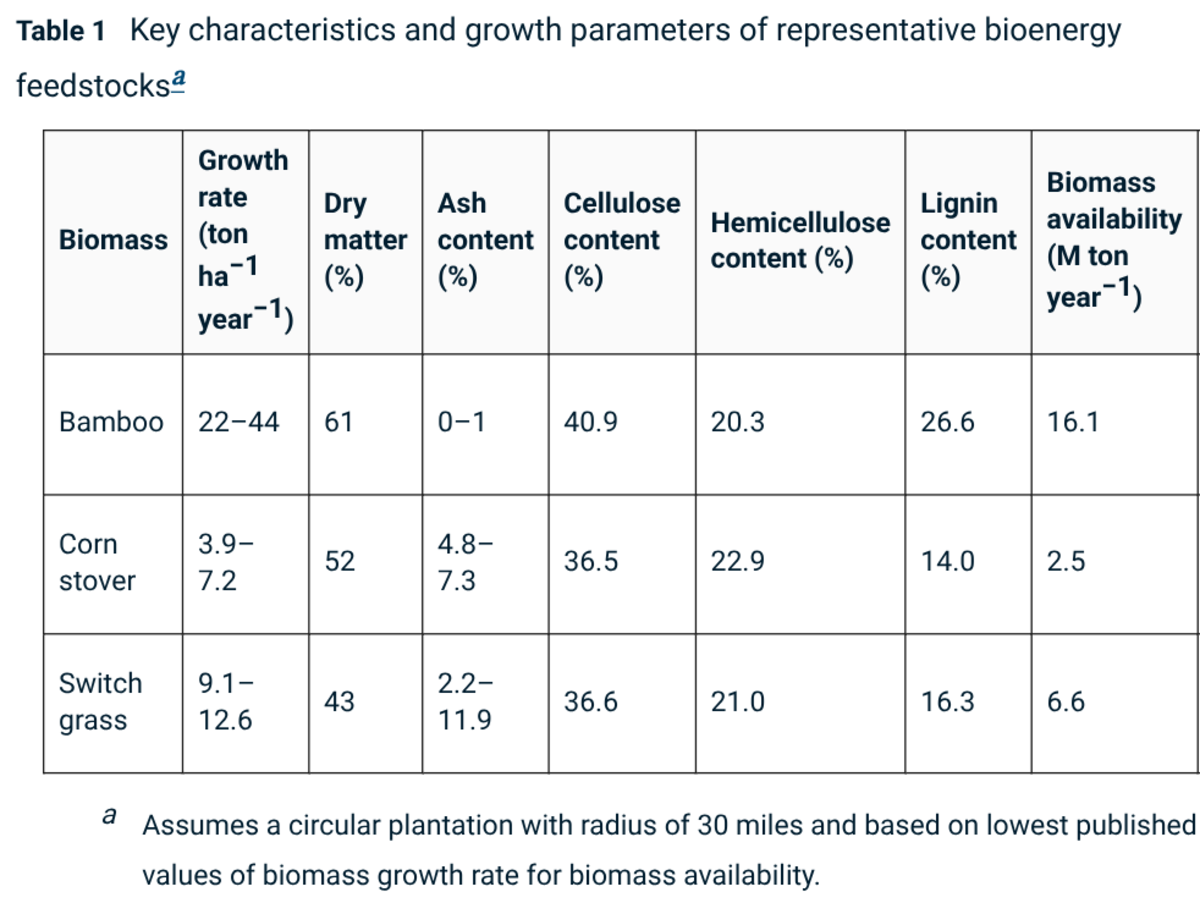Fuel From Bamboo Costs Just $2.75 Per Gallon